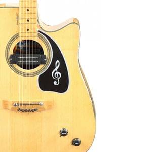 1563450498821-40.S.B PIONEER (CUT-A-WAY,BEECH WOOD WITH PICK-UP) (2).jpg